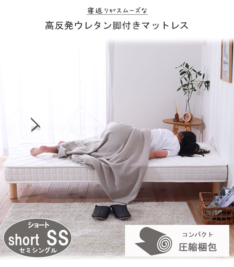 説明