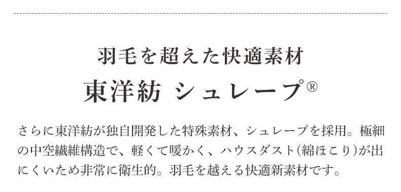 説明
