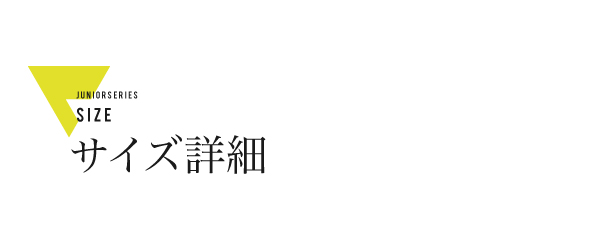 説明