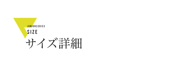 説明