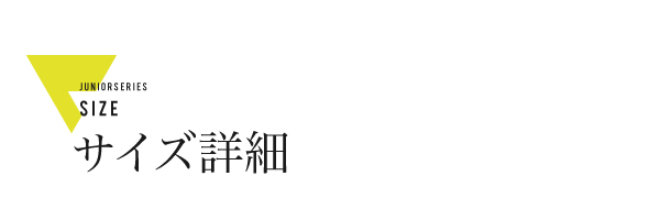 説明