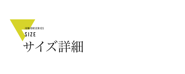 説明