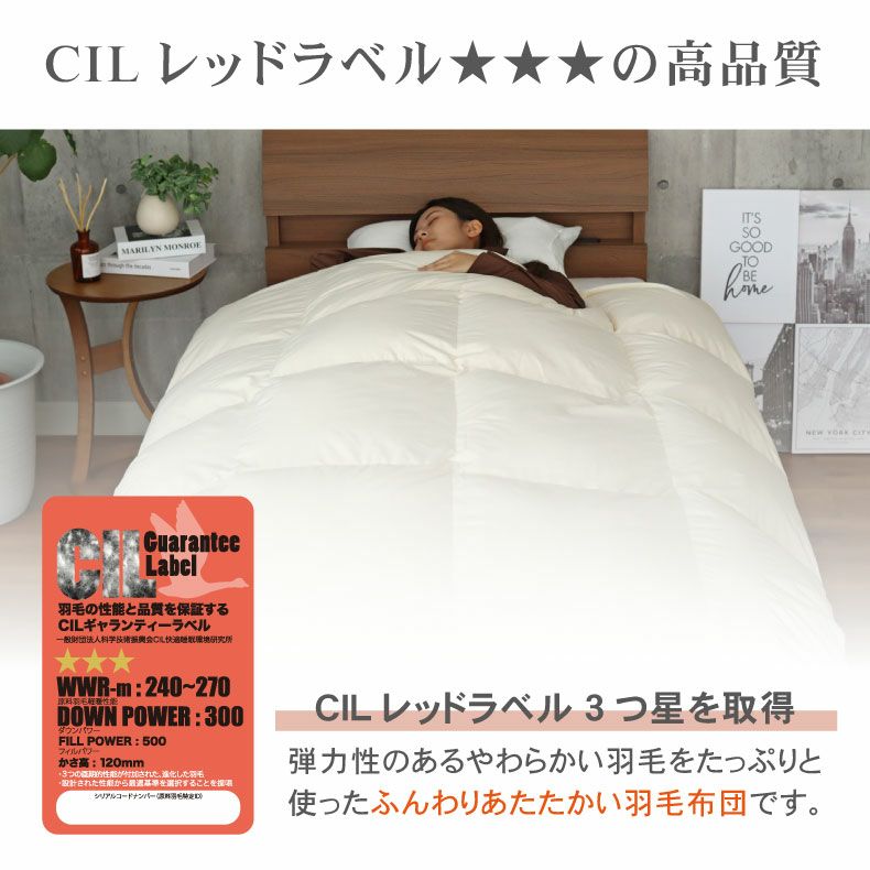 掛け布団・羽毛布団 | 【送料無料】 ダブルロング 羽毛掛け布団 マナダウン 国産 抗菌 消臭 WDD85