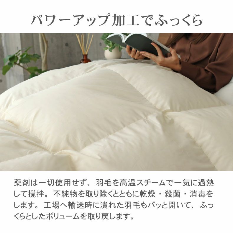 掛け布団・羽毛布団 | 【送料無料】 ダブルロング 羽毛掛け布団 マナダウン 国産 抗菌 消臭 WDD85