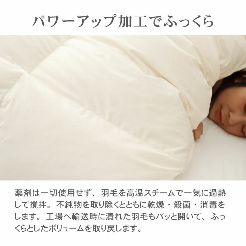 掛け布団・羽毛布団 | 【送料無料】 シングルロング 羽毛掛け布団 マナダウン 国産 抗菌 消臭 グース WGD93