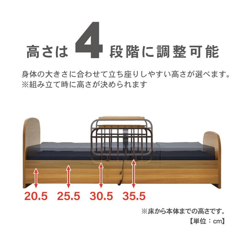 ベッドフレーム | 【非課税】電動ベッド シャトー2モーター（マット付き）