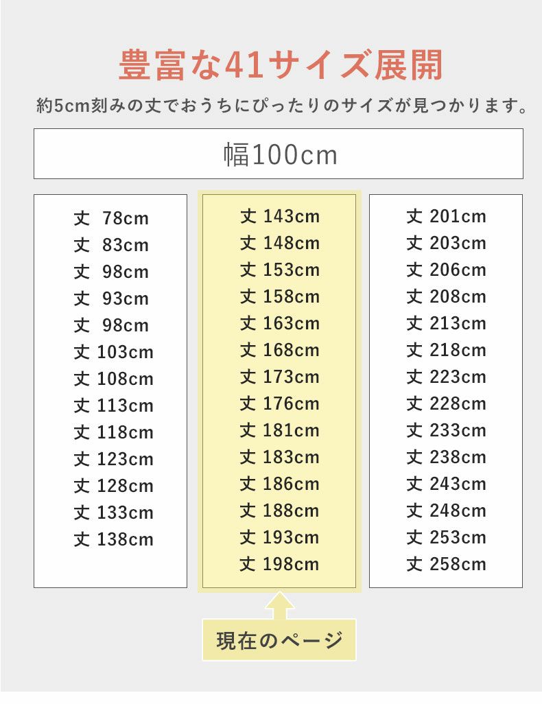 1枚入り 幅100x丈143から198cm 14サイズから選べる多サイズ既製レース