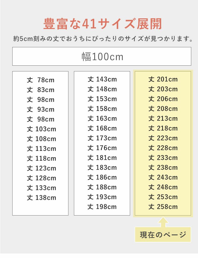 レースカーテン（薄地） | 1枚入り 幅100x丈201から258cm  14サイズから選べる多サイズ既製レースカーテン UN0115