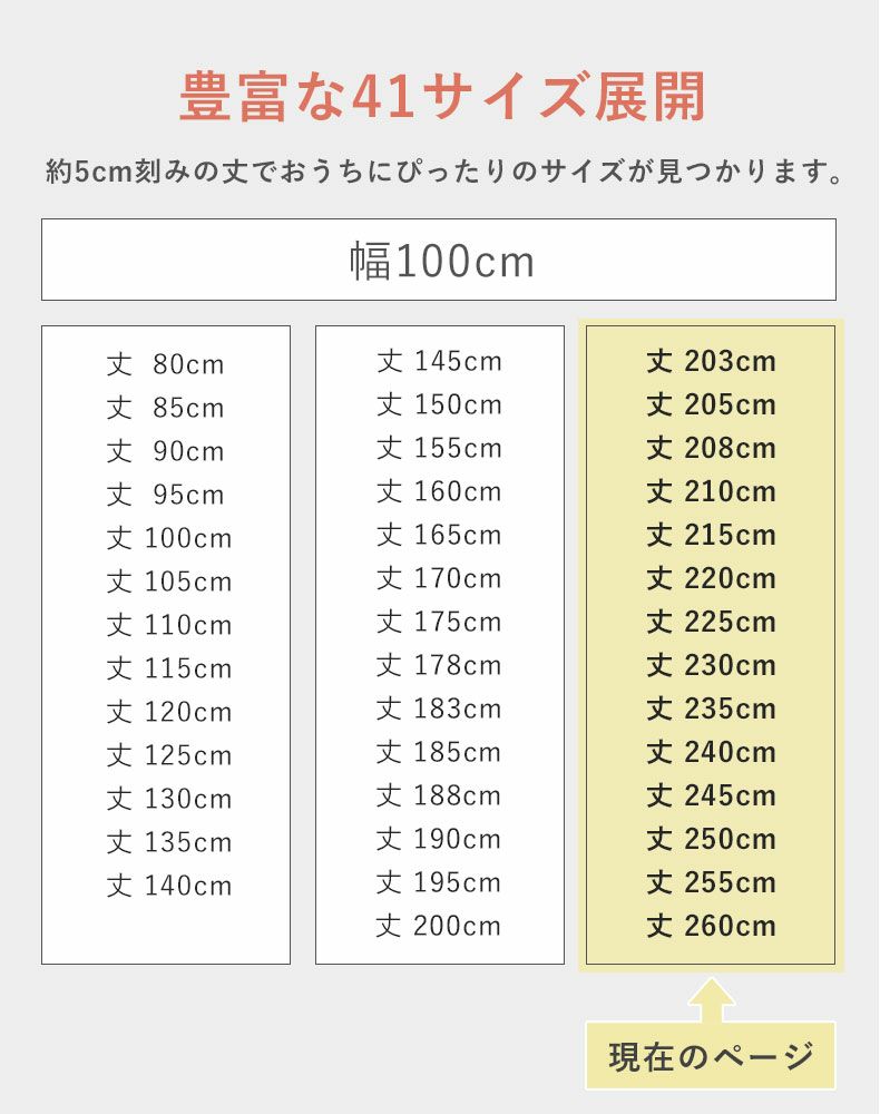 ドレープカーテン（厚地） | 幅100x丈203から260cm 多サイズ 遮光既製カーテン KK450 全1色