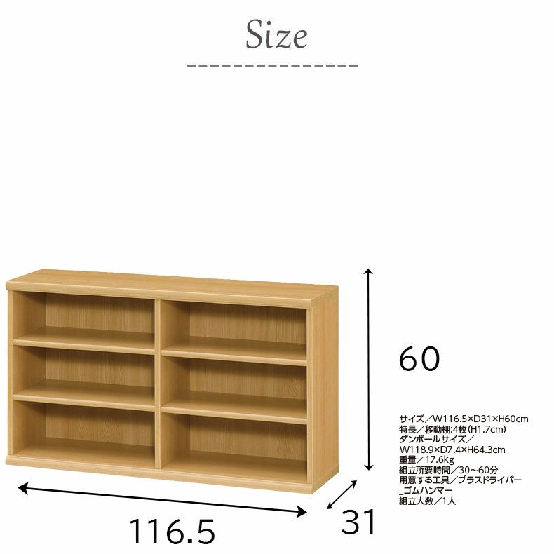 本棚・書棚 | オープンラック 幅約120cm 高さ約60cm カラーラック