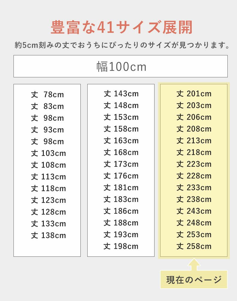 レースカーテン（薄地） | 1枚入り 幅100x丈201から258cm  14サイズから選べる ミラー 多サイズ 既製レースカーテン シンフォニー