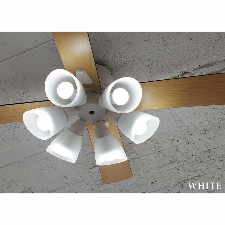 シーリングファン Windouble (6-lights)
