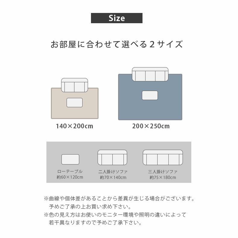 柄物・デザインラグ | 200ｘ250cm ウィルトンラグ グラン