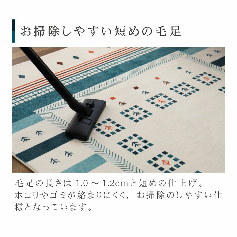 柄物・デザインラグ | ラグ ソラーレ