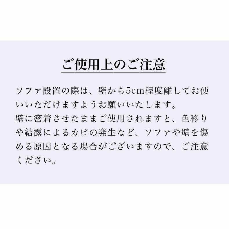 ２人掛けソファ | 2人掛け ソファ 脚付き スチール脚 モダン カノン