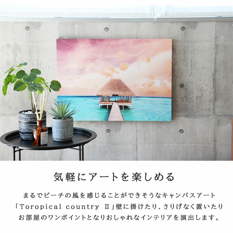 アート･絵画・置物 | キャンバスアート Tropical country2