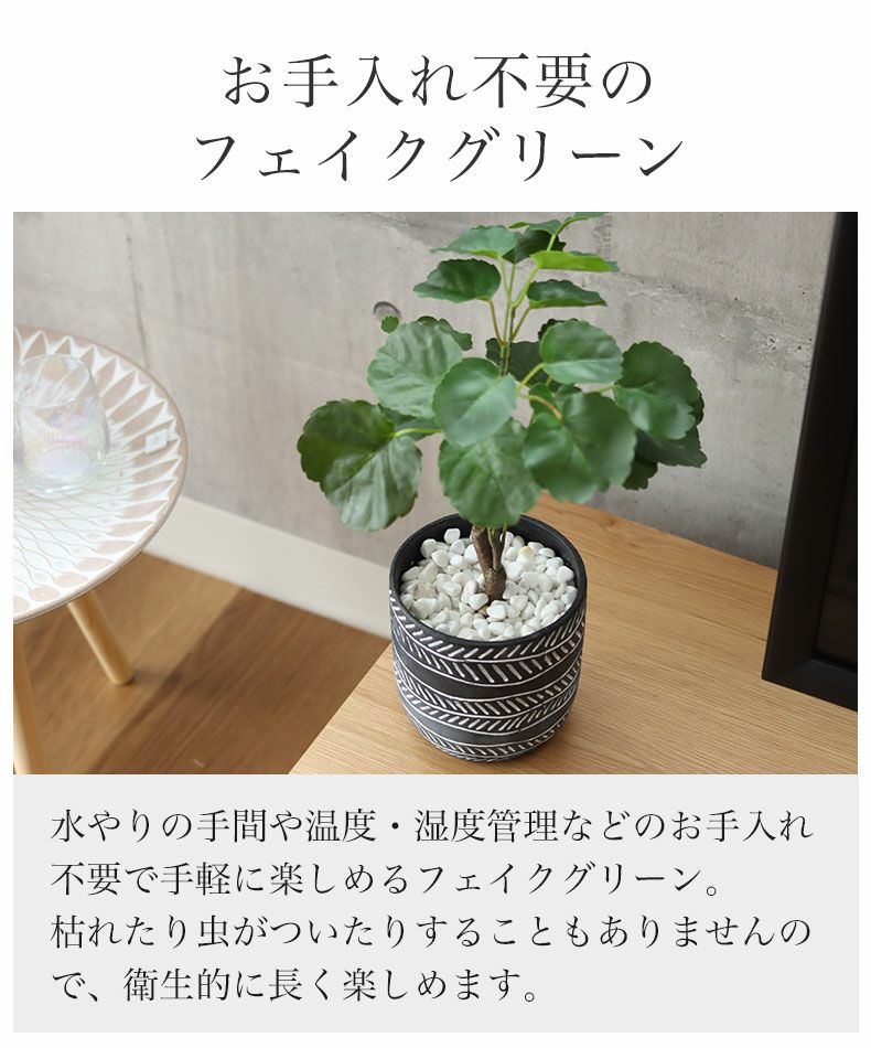 ポリシャス セラミックポット2点セット | マナベインテリア