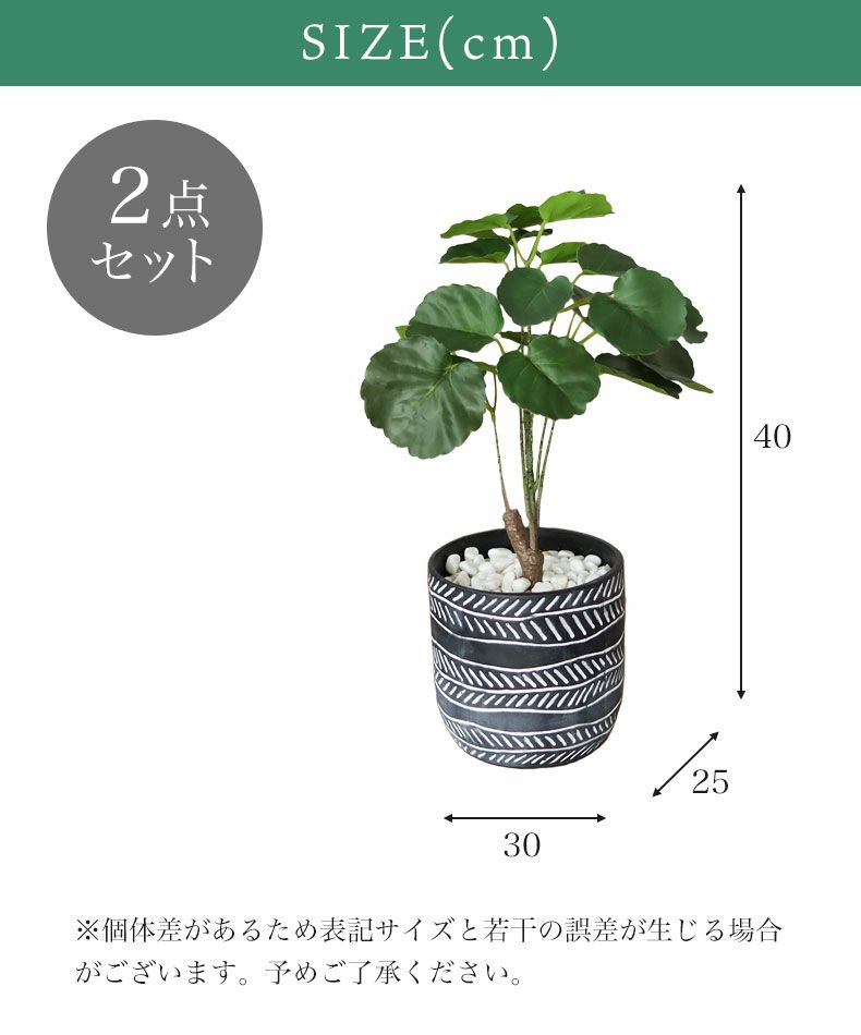 ポリシャス セラミックポット2点セット | マナベインテリアハーツ公式通販