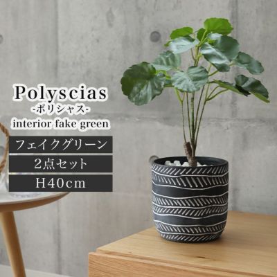 ポリシャス セラミックポット2点セットのサムネイル