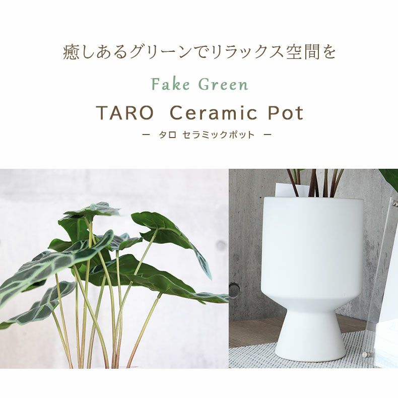 タロ セラミックポット