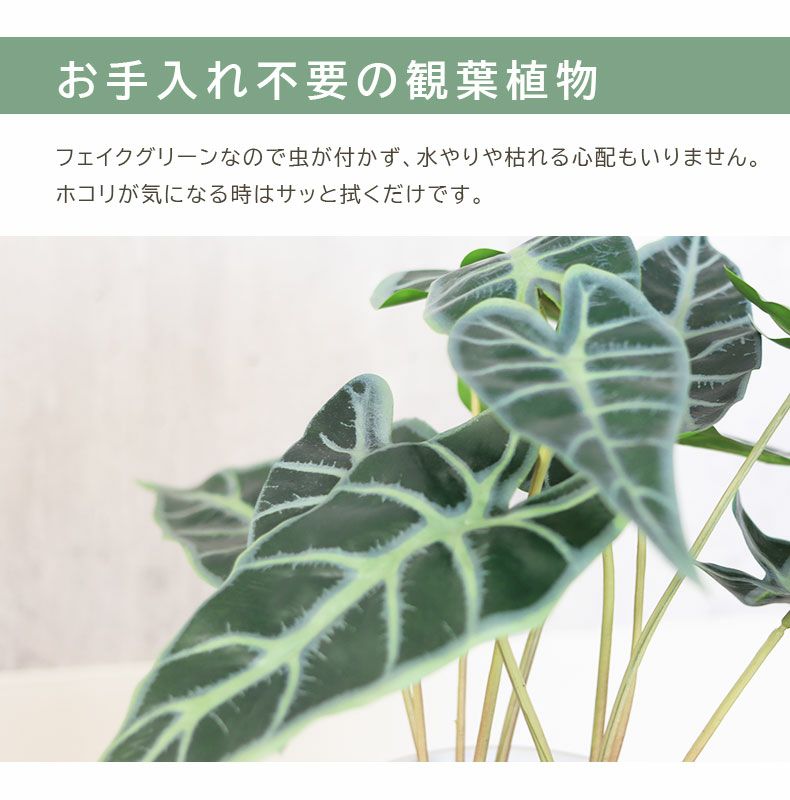 タロ セラミックポット