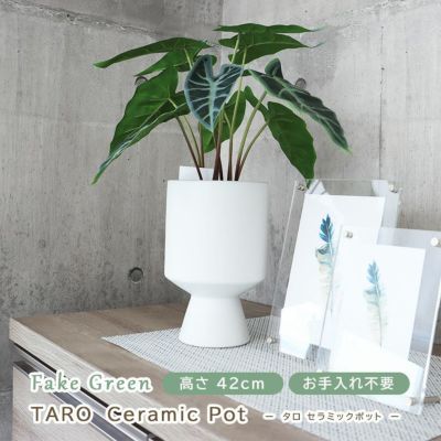 タロ セラミックポットのサムネイル