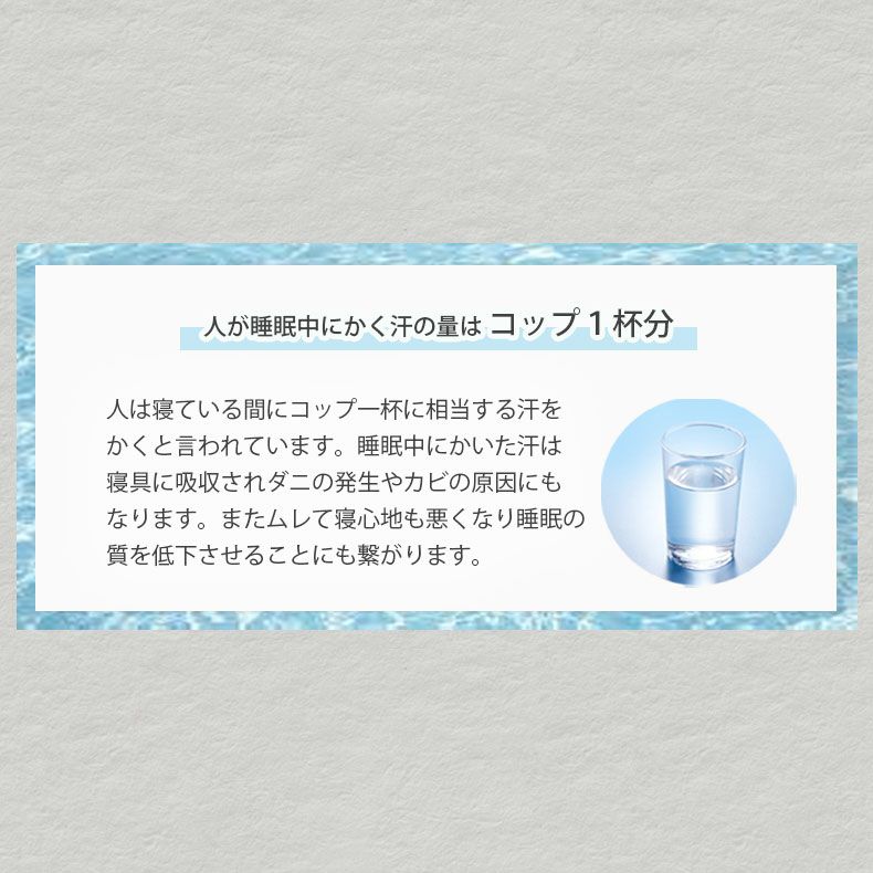 ベッドフレーム | シングル ハイベッド すのこ床板 ロクサー