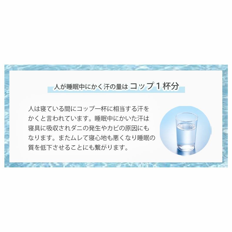 ベッドフレーム | シングル ハイベッド すのこ床板 クリフ