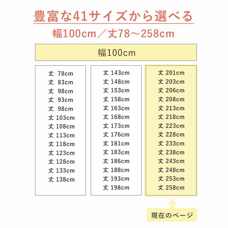 レースカーテン（薄地） | 1枚入り 幅100x丈201から258cm  14サイズから選べる多サイズ 既製レースカーテン ルミエールボイル