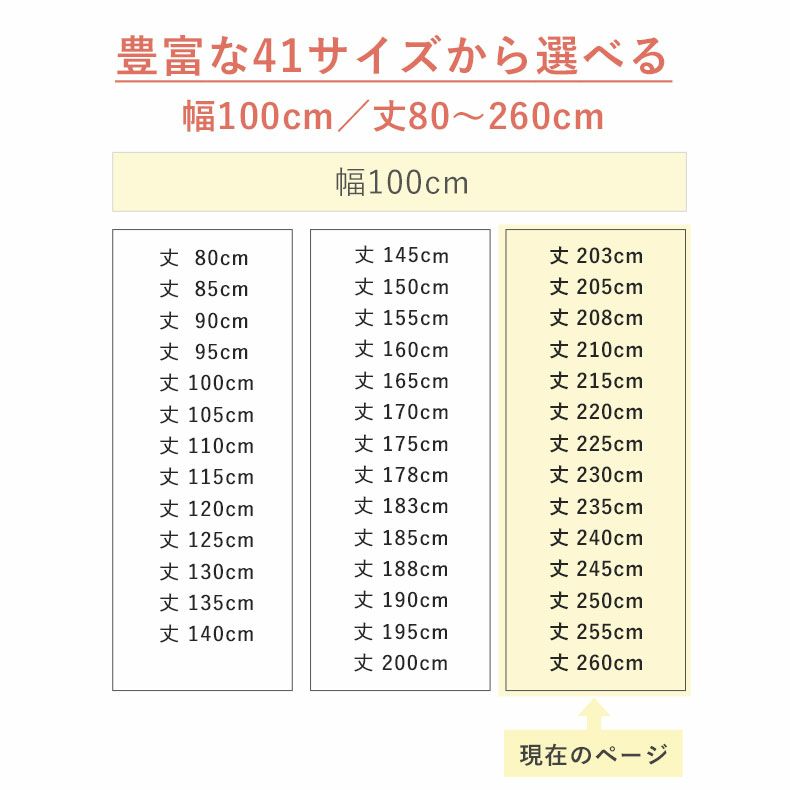 ドレープカーテン（厚地） | 1枚入り 幅100x丈203から260cm  14サイズから選べる多サイズ既製カーテン ルミエール