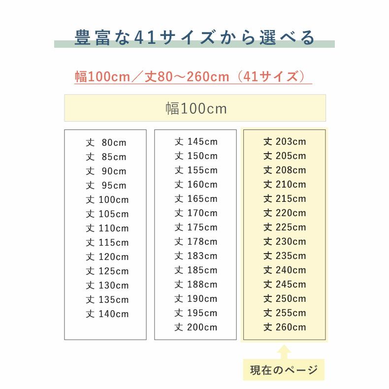 ドレープカーテン（厚地） | 1枚入り 幅100x丈203から260cm  14サイズから選べる 遮光 遮熱 1枚入り多サイズ既製カーテン リトリート