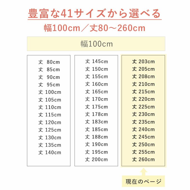 ドレープカーテン（厚地） | 1枚入り 幅100x丈203から260cm  14サイズから選べる多サイズ既製カーテン モント