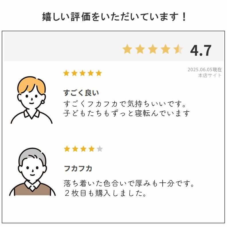 無地ラグ | ラグ ロジャー