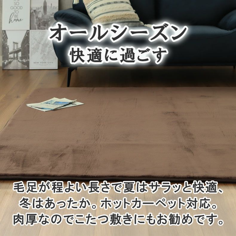 無地ラグ | ラグ ロジャー