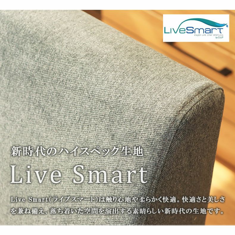ダイニングベンチ | 2人掛け ソファ LD ダイニング 撥水 ペット ベンチ エイダ