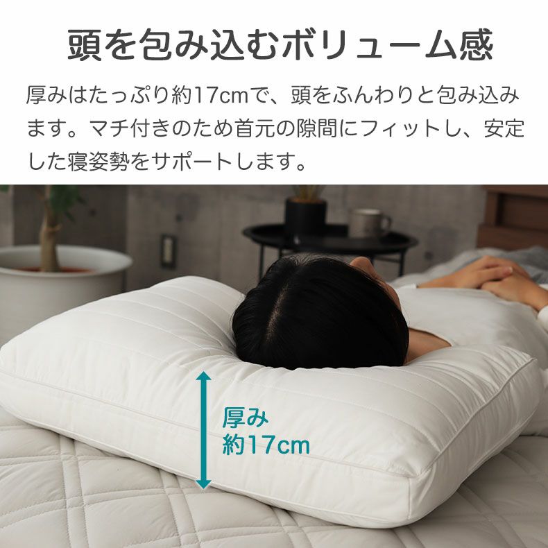 43x63cmまくら ダニスト