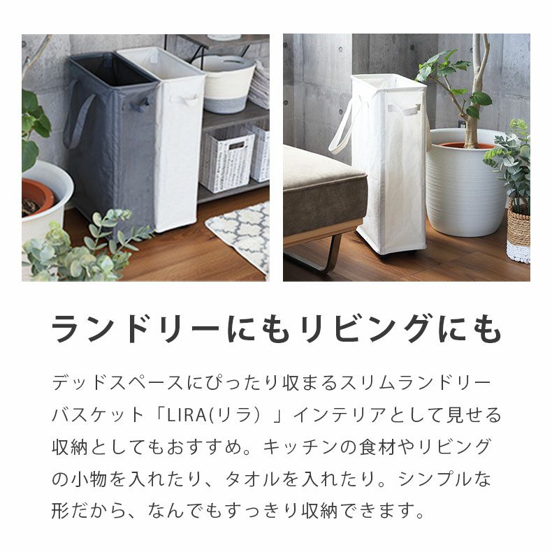 洗濯用品 | スリム ランドリーバスケット 取っ手付き リラ