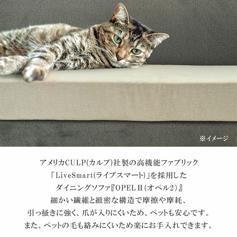 ２人掛けソファ | ペット 撥水 引っかききずに強い 2人掛け ソファ ローソファ オペル2