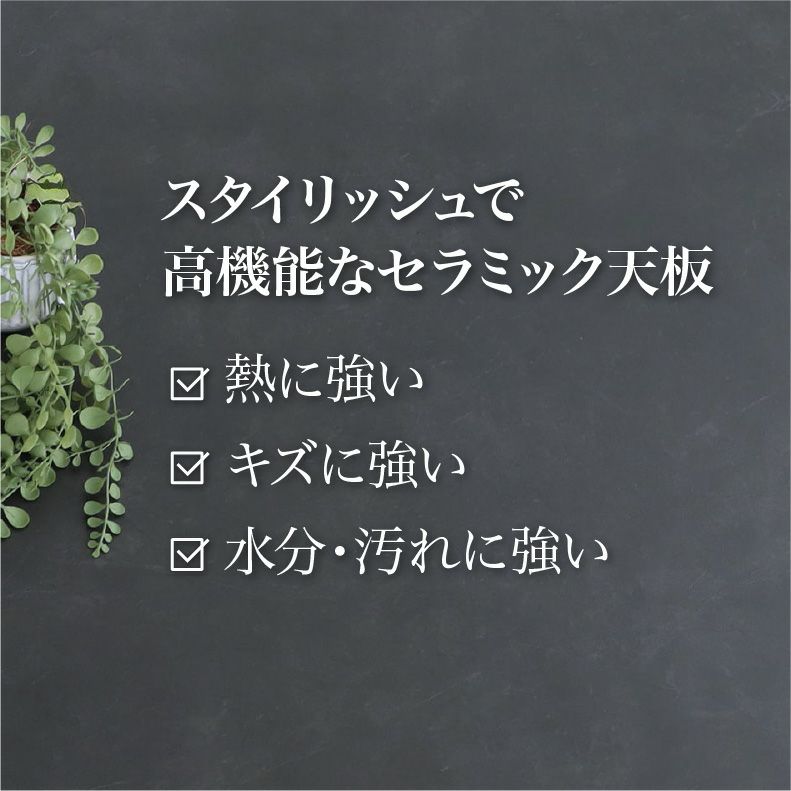 ダイニングテーブル | 幅160cm ダイニングテーブル サリクス