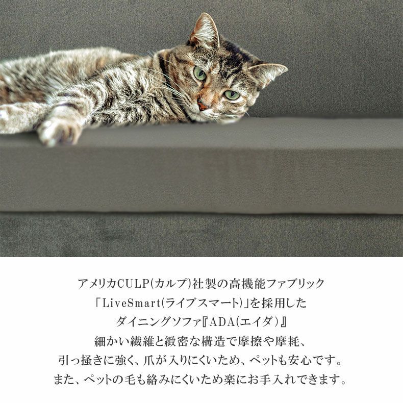 ダイニングベンチ | 撥水 ペット 引っかきに強い 2.5人掛け LD ソファ ダイニング ベンチ エイダ