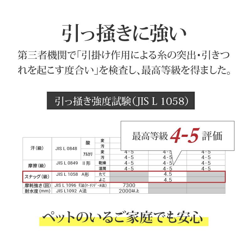 ダイニングチェア | ダイニングチェア アルファ