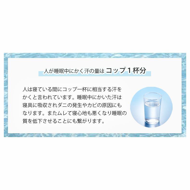 ベッドフレーム | セミダブル ベッドフレーム すのこ&レッグ アラル2