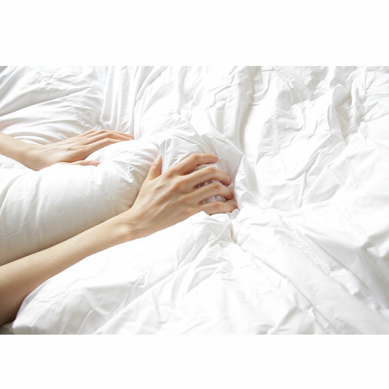 掛け布団・羽毛布団 | 立体羽毛掛け布団 WDD50