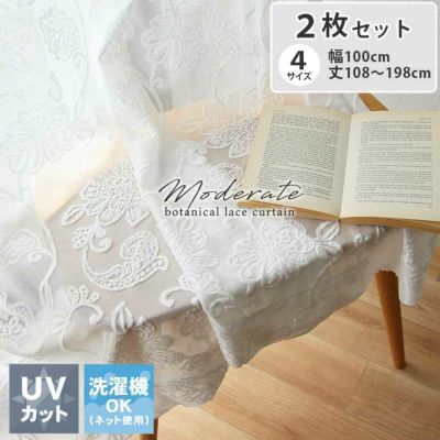 2枚入り 2枚入り 既製レース モデラートのサムネイル
