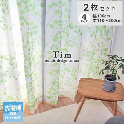 2枚入り 2枚入り 既製カーテン ティムのサムネイル