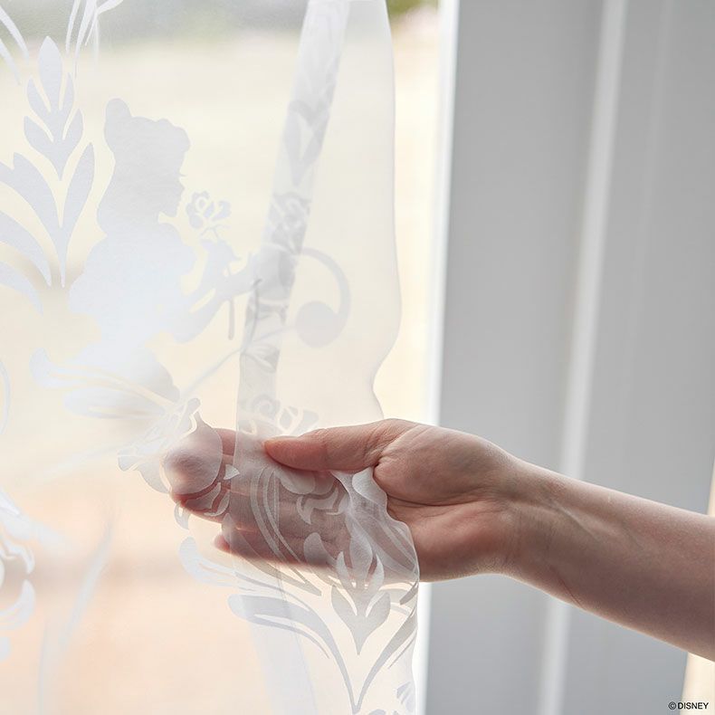 レースカーテン（薄地） | 2枚入り レースカーテン クラシックビューティーボイル PRINCESS M1218