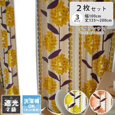 2枚入り  遮光 ドレープカーテン ケイランサスのサムネイル