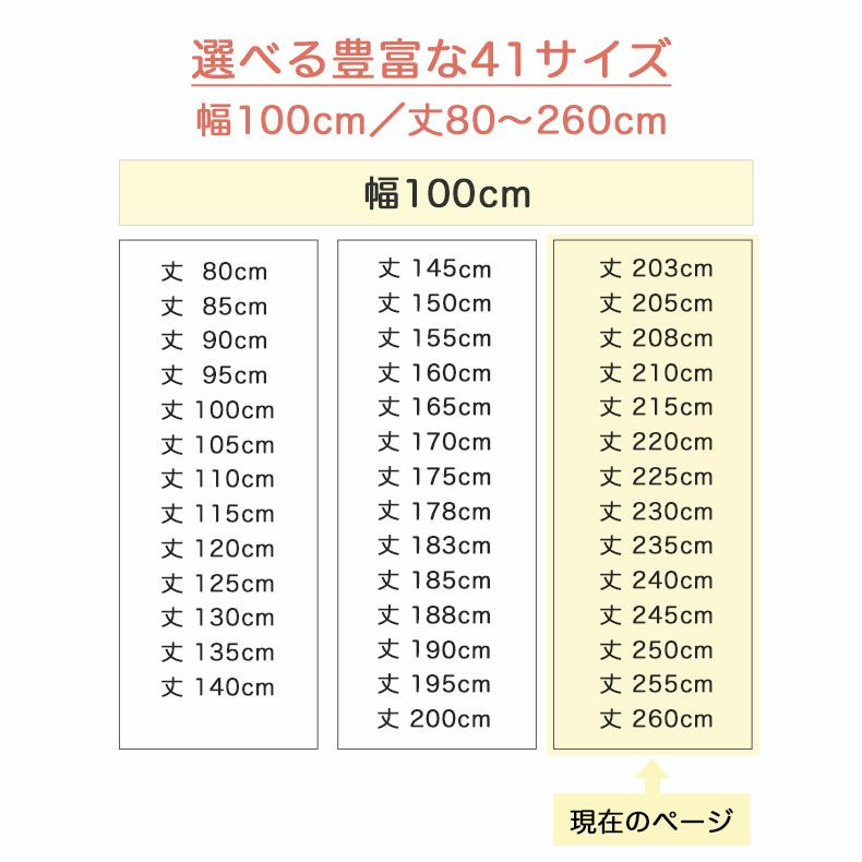 ドレープカーテン（厚地） | 1枚入り 幅100x丈203から260cm  14サイズから選べる多サイズ既製カーテン ノリモノズカン