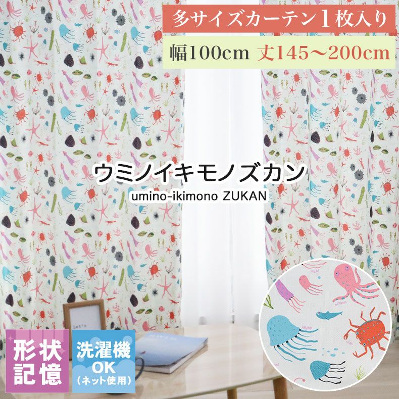 ドレープカーテン（厚地） | 1枚入り 幅100x丈145から200cm  14サイズから選べる多サイズ既製カーテン ウミノイキモノズカン