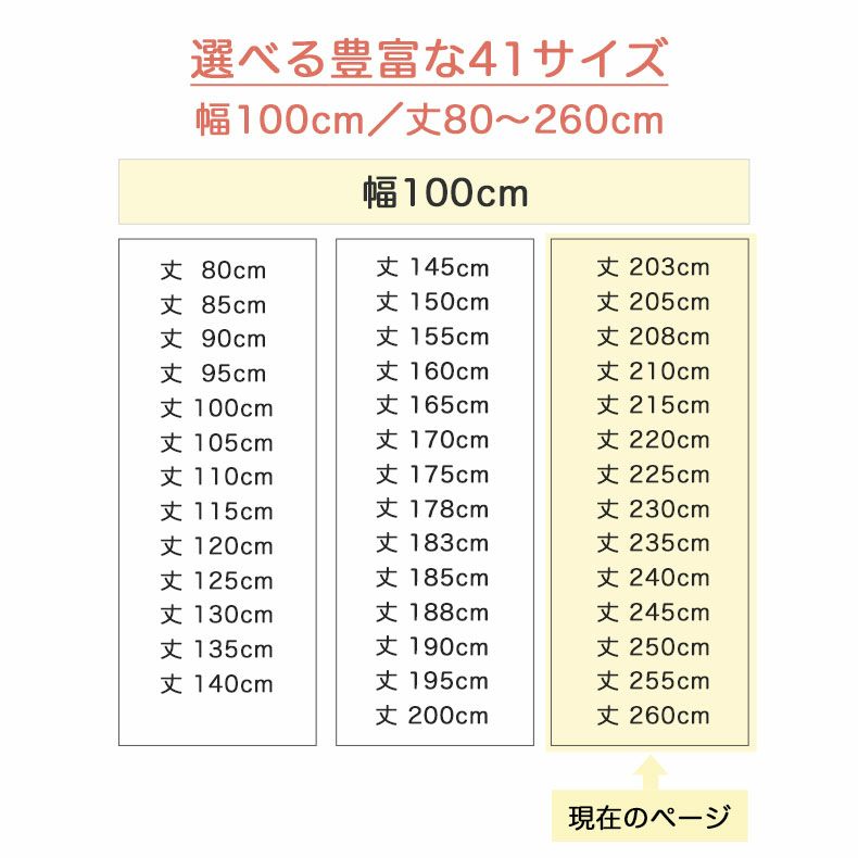 ドレープカーテン（厚地） | 1枚入り 幅100x丈203から260cm  14サイズから選べる多サイズ既製カーテン ウミノイキモノズカン